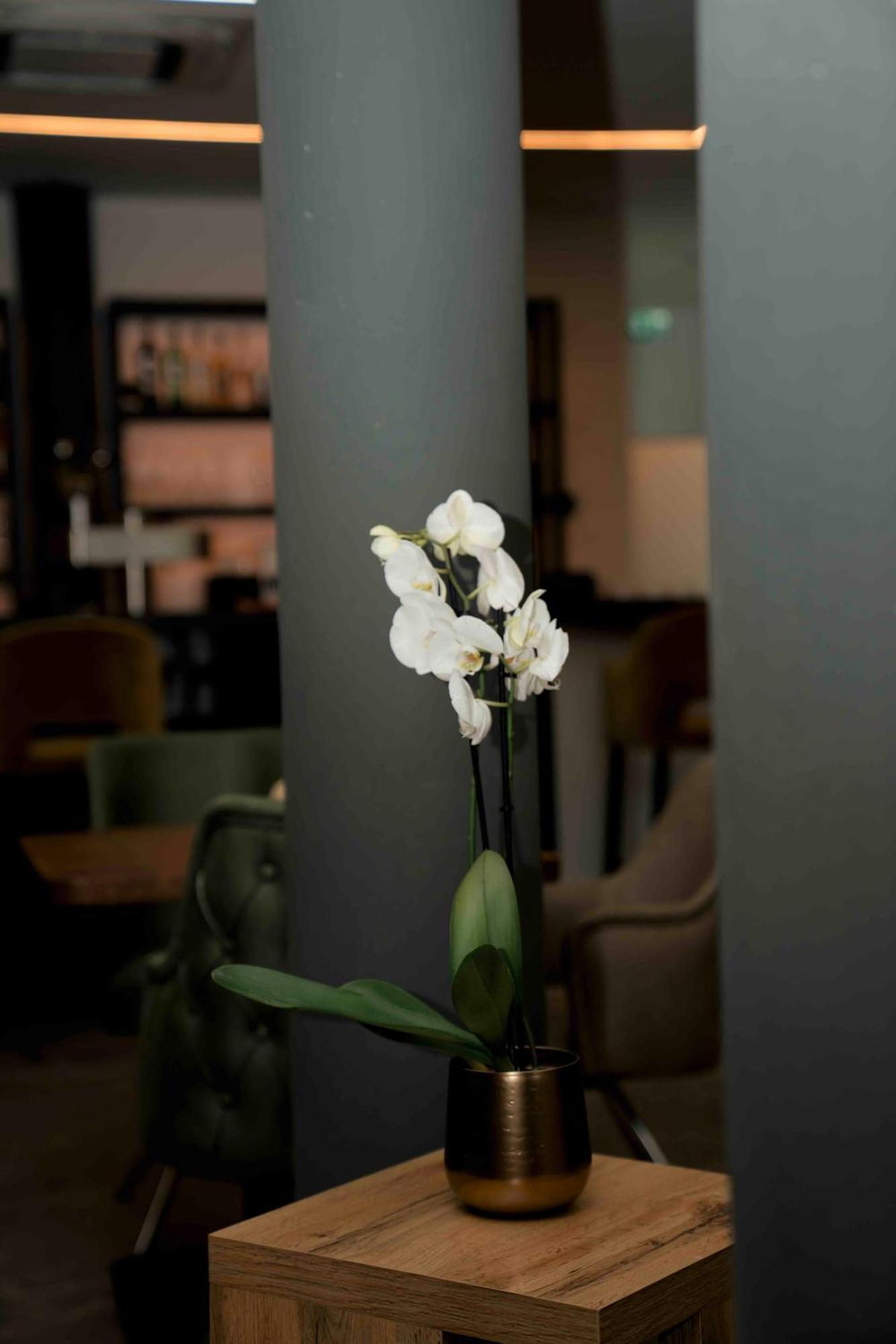 Central Hotel & Lounge Adult Only Goslar Luaran gambar